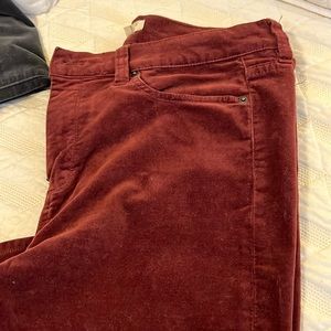 JCrew toothpick velvet pants size 31 Burgundy color
